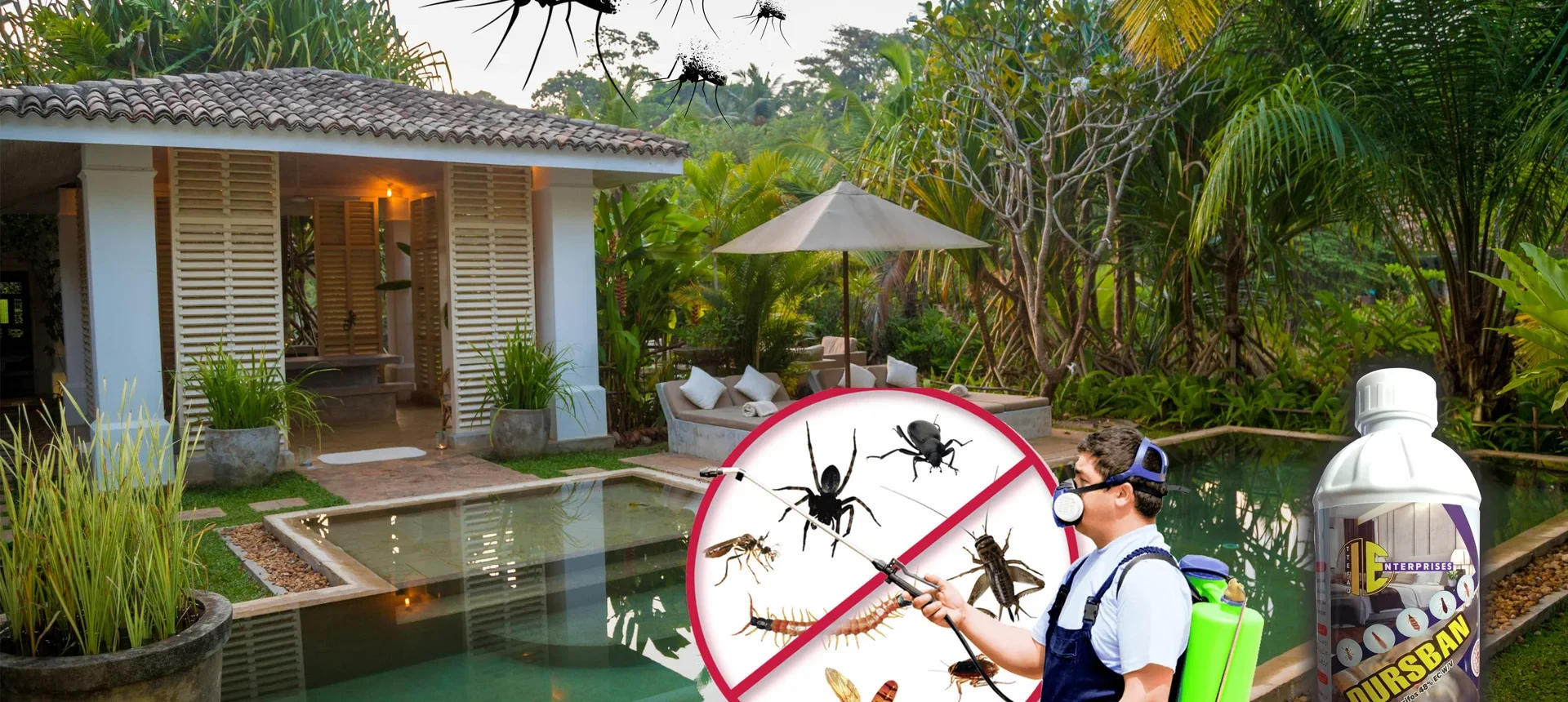 dursban a powerful termiticide and insecticide for mosqueto and pest control