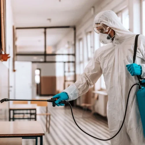 Commercial Pest Control