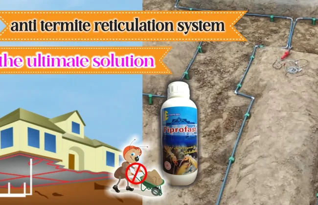 Ultraforce and fiproforce a powerful termiticide for anti termite reticulation system piping system