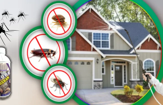 ultimat insecticides for household pest control